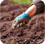 Retail and Hospitality